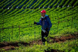 BIB: 0711
                            <button type="button" onclick="openModal(19160901)" class="btn btn-primary btn-sm float-right btn-popup" data-toggle="modal" data-target=".modal-high-quality">
                        <i class="fas fa-shopping-cart"></i> Add to Cart
                    </button>
                                            <button type="button" onclick="isThisMe(19160901, true)" class="btn btn-success btn-sm float-right btn-popup btn-isme hidden" data-toggle="tooltip" data-placement="bottom" title="นี่คือรูปของคุณใช่ไหม คลิกที่นี่เพื่อเอาเข้าอัลบั้ม">
                        <i class="fas fa-plus"></i> Add to album
                    </button>
                    <button type="button" onclick="isThisMe(19160901, false)" class="btn btn-warning btn-sm float-right btn-popup btn-isnotme hidden">
                        <i class="fas fa-ban"></i> Remove from album
                    </button>